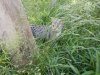 DSCN3512.JPG