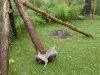 DSCN3574.JPG