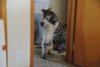 DSC_0589.JPG DSC_0589.JPG