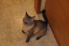 DSC_1219.jpg