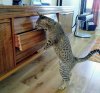 IMG_20200806_120052.jpg