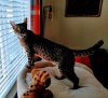 IMG_20200806_115928.jpg