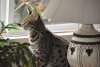DSC_1174.jpg