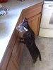 IMG_0854.jpg IMG_0854.jpg
