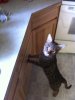 IMG_0856.jpg IMG_0856.jpg