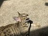 3C89D703-DF1F-43A6-9E3E-201F101ECB8A.jpeg