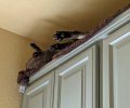 feets, laundry room.jpg