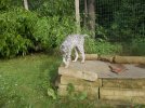 DSCN4323.JPG