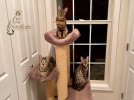 76BD0487-1E3E-4F52-801A-01501B8A85E0.jpeg