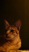 FB_IMG_1599578919778.jpg
