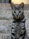 IMG_1256.jpg