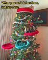 CatChristmasTree.jpg
