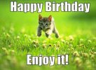 Best-26-cat-birthday-meme13-500x365.jpg
