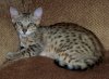 100_2762.JPG