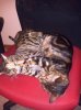 IMG_20120520_231221.jpg