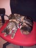 IMG_20120520_231230.jpg