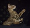 100_2852.JPG 100_2852.JPG