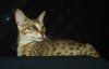 100_2871.JPG 100_2871.JPG