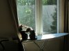 IMG_0341 (800x600).jpg