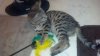 2012-07-21_16-18-54_548.jpg