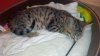 2012-07-21_18-01-35_254.jpg