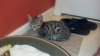 2012-07-21_16-10-24_887.jpg