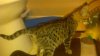 2012-07-21_16-11-41_750.jpg
