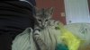 2012-07-22_14-37-25_989.jpg