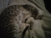 IMG00552-20120214-2028.jpg