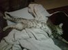IMG00557-20120215-1823.jpg