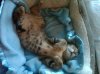 belly4.jpg