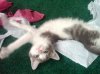 belly5.jpg