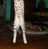 DSCF9173.jpg