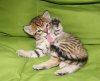 DSCF0565.jpg