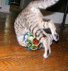 DSCF4968.jpg