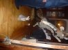 P1050075.JPG