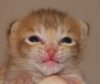 cinny-face_web.jpg