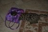 purple bag george 6months resize.jpg