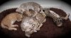 082112-cinagdraposixas-3_web.jpg
