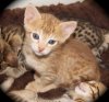 082112-cinny-2_web.jpg