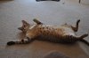 DSC_1629.JPG