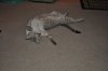 DSC_1646.JPG