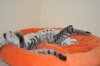 DSC_1139.JPG