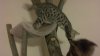 2012-08-25_21-15-59_132.jpg
