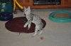 DSC_0002.JPG