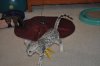 DSC_1793.JPG