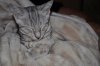 DSC_0049.JPG
