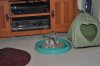 DSC_0004.JPG