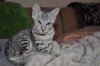 DSC_0012.JPG
