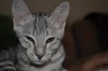 DSC_0014.JPG